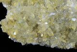 Plate Of Gemmy, Chisel Tipped Barite Crystals - Mexico #78138-1
